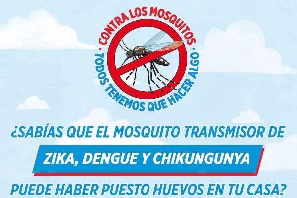 Dengue, Zika, Chikungunya